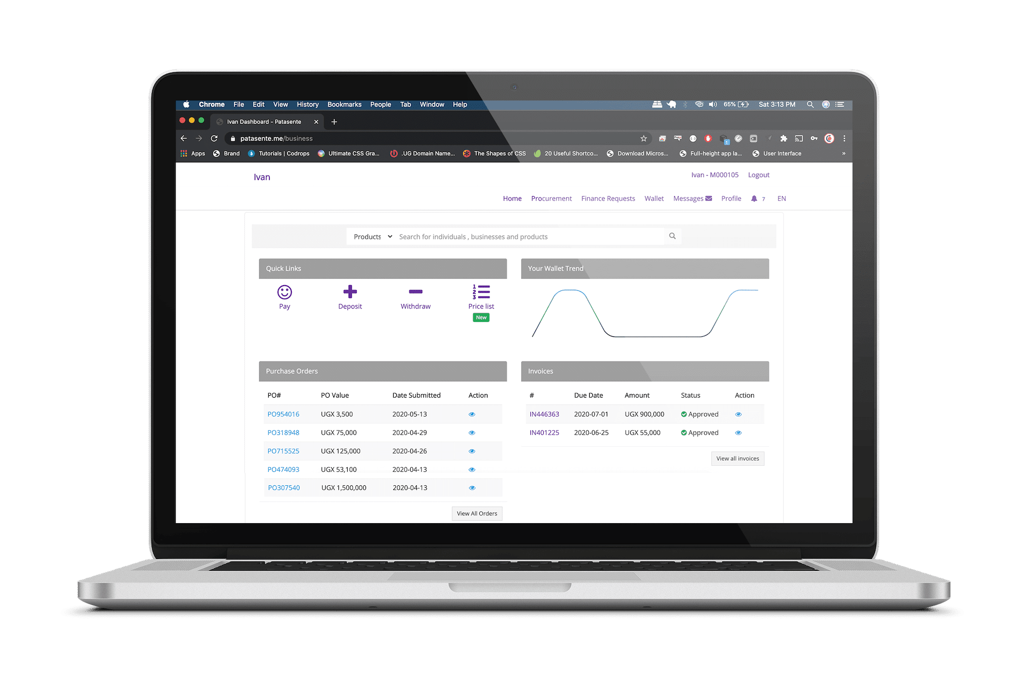 Patasente-dashboard-photo